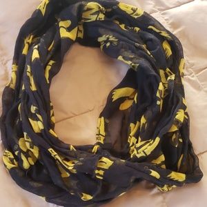 2 for $5 // IOWA HAWKEYES SCARF